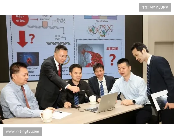 腿筋伤势成常见病，医学团队干预方案优化