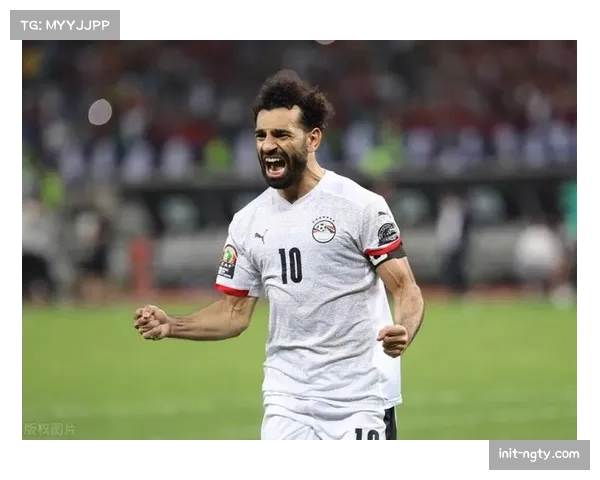 非洲举重锦标赛:埃及队统治奖牌榜,获满额奥运门票 非洲举重锦标赛:埃及队统治奖牌榜,获满额奥运门票